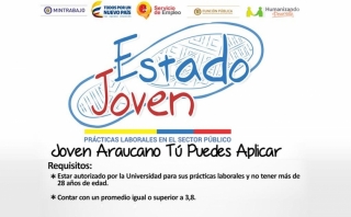 Jóvenes araucanos se beneficiarán del programa piloto «Estado Joven»