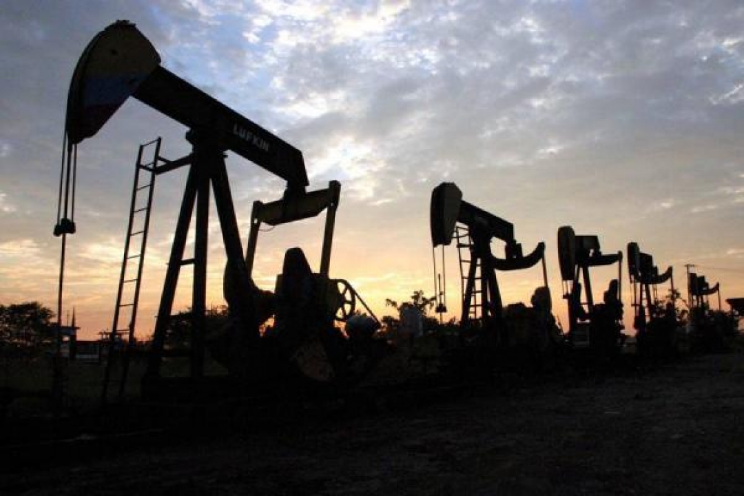Van 40 mil desempleados por crisis del petróleo