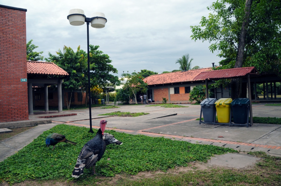 Universidad Nacional sede Orinoquia propone nuevos postgrados en…