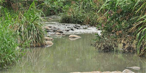 Daño ambiental ha dejado problemática de aguas residuales en Puerto Jordán