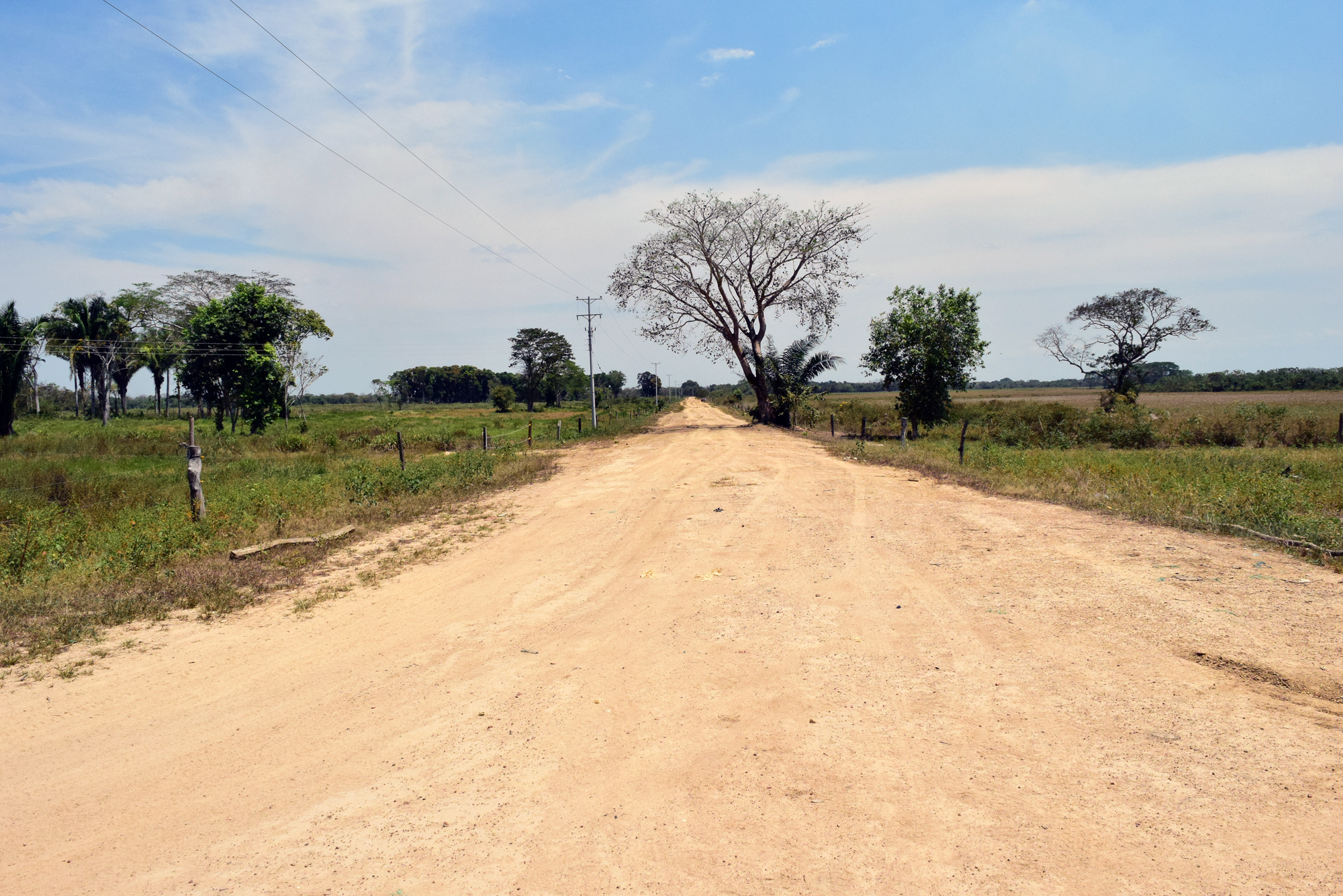 Más de 5 mil millones de pesos se invertirán en el sector Papayito-La Becerra