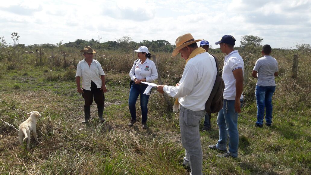 Administración municipal impulsa proyectos de piscicultura