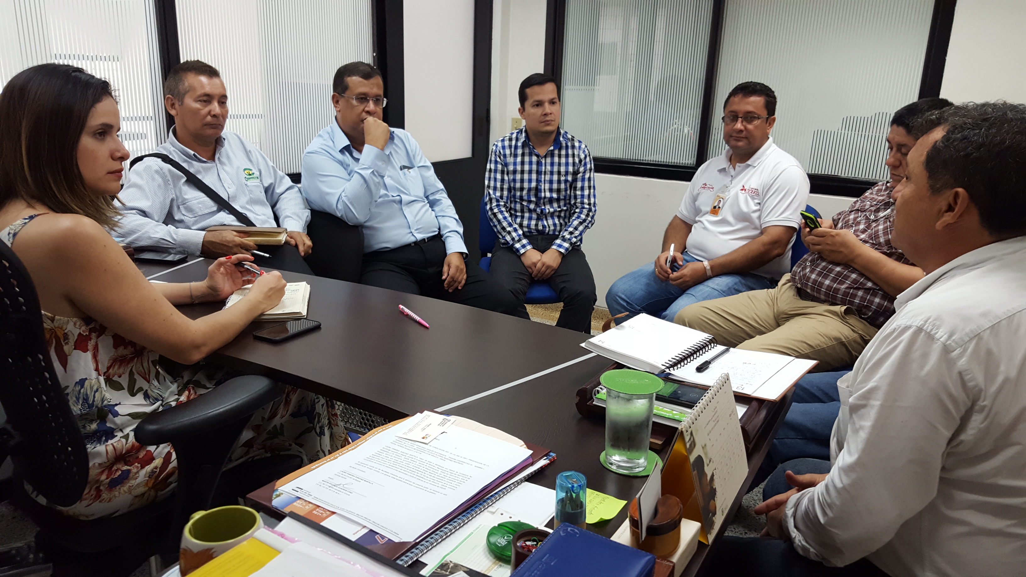 IDEAR podría impulsar a cacaocultores araucanos como exportadores