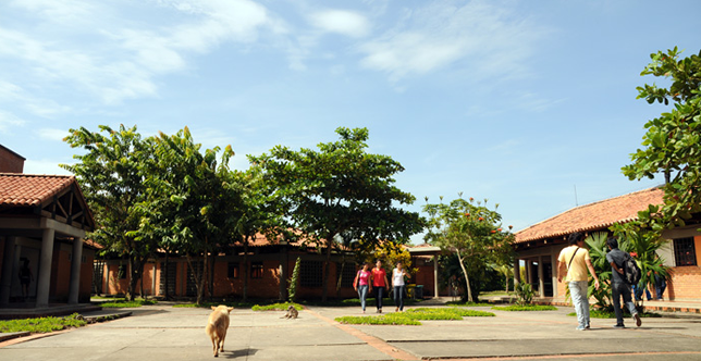 Universidad Nacional de Colombia invita a la cátedra Fulbright