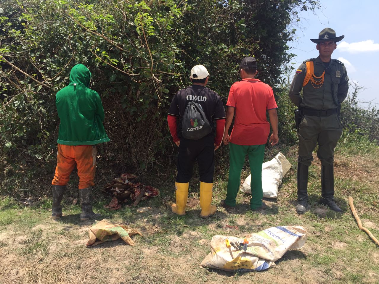 Capturadas tres personas y rescatadas 22 tortugas antes de ser sacrificadas