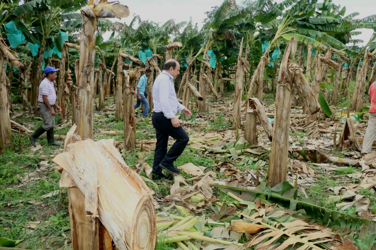 Gobernador visitó zona platanera de El Botalón en Tame