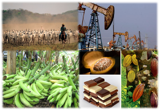 Productos araucanos pueden ser competitivos a nivel internacional