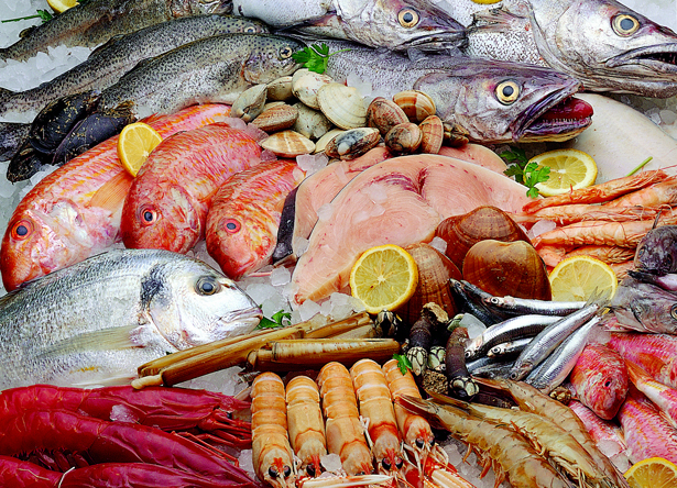 ¿Cuáles son los peces que más metales tóxicos acumulan?