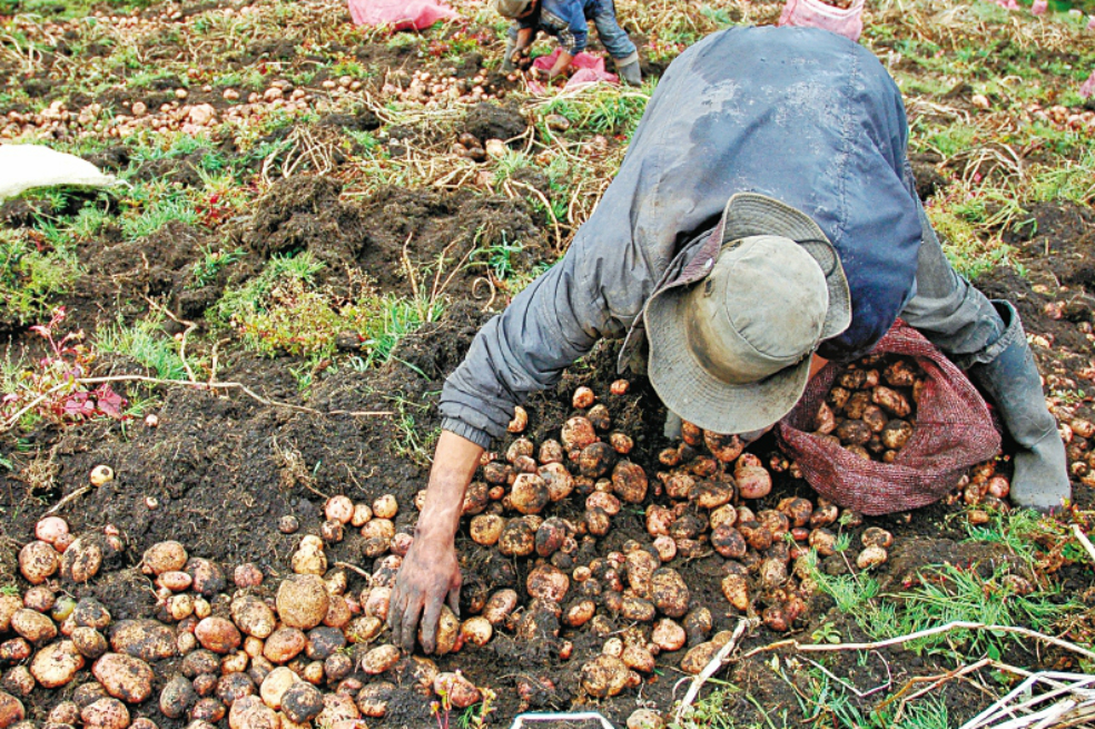 Lupa al proyecto de Ley de Tierras