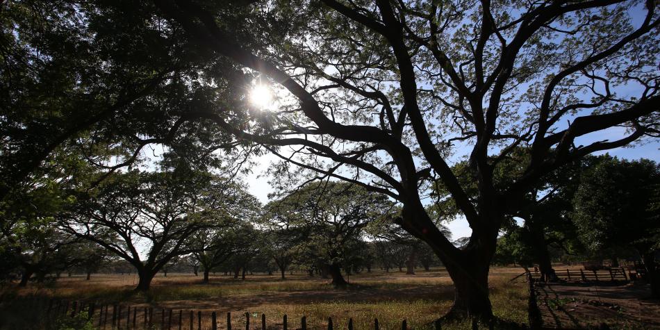 Las cinco principales transformaciones que vivirá el campo con la paz