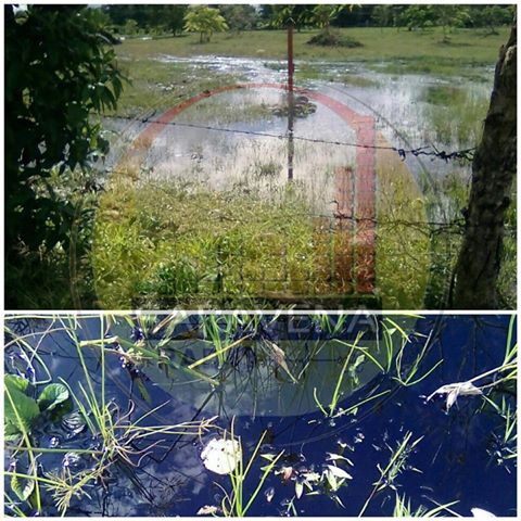 Fue dinamitado el oleoducto Caño Limón Coveñas en Saravena