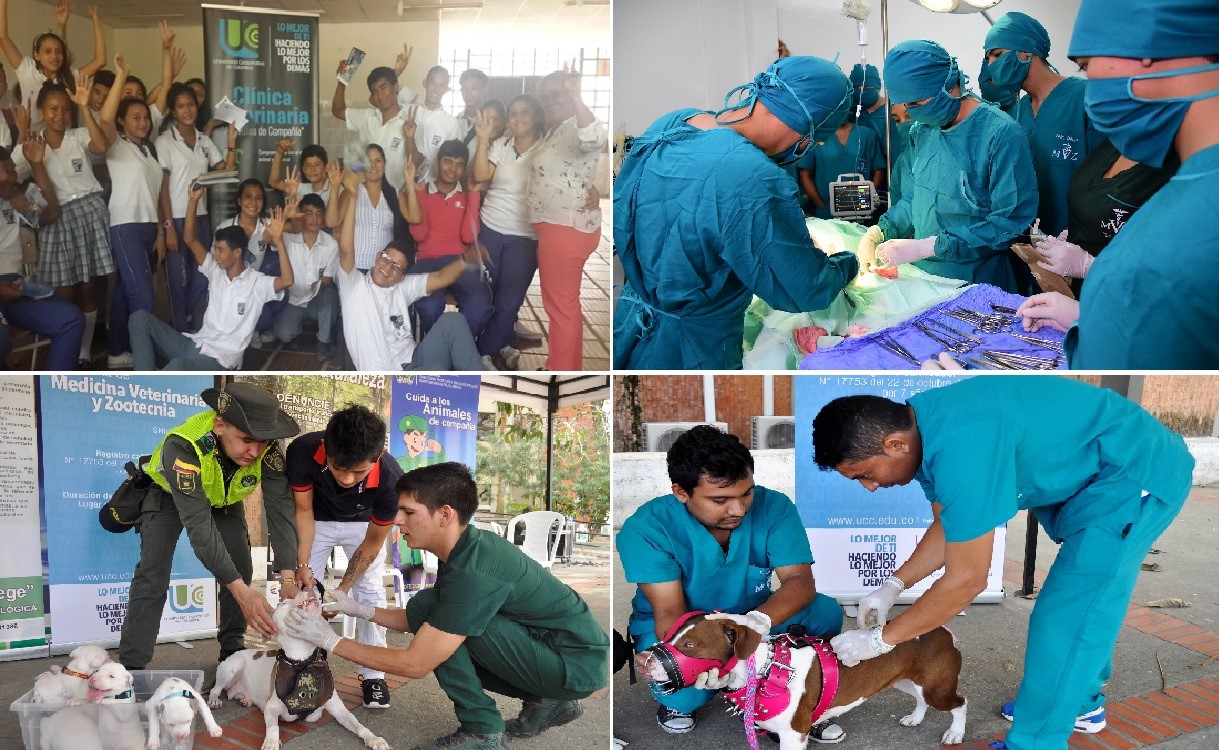 Clínica veterinaria de la UCC brinda apoyo a propietarios de caninos