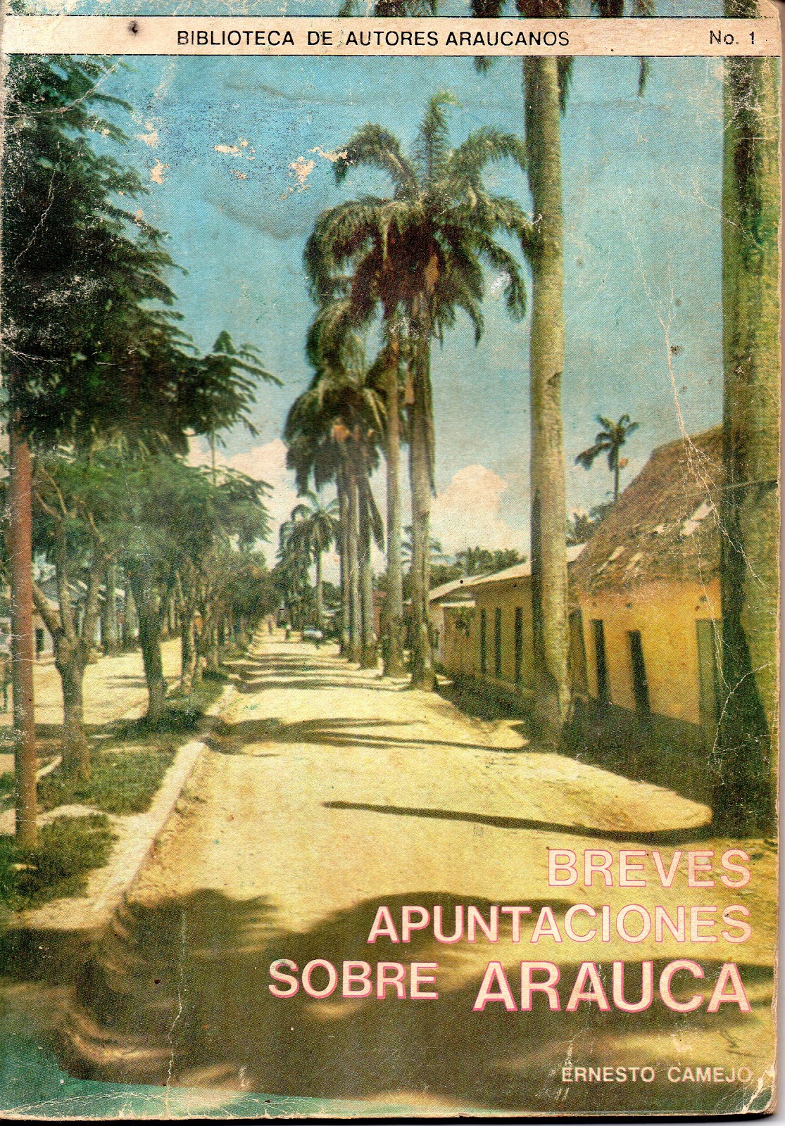 Breves Apuntaciones de Arauca – El Comercio Araucano