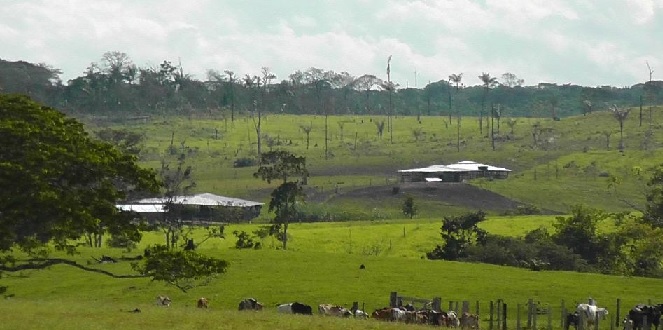 Corte pregunta a Santos en qué se usará fortuna que entreguen las Farc