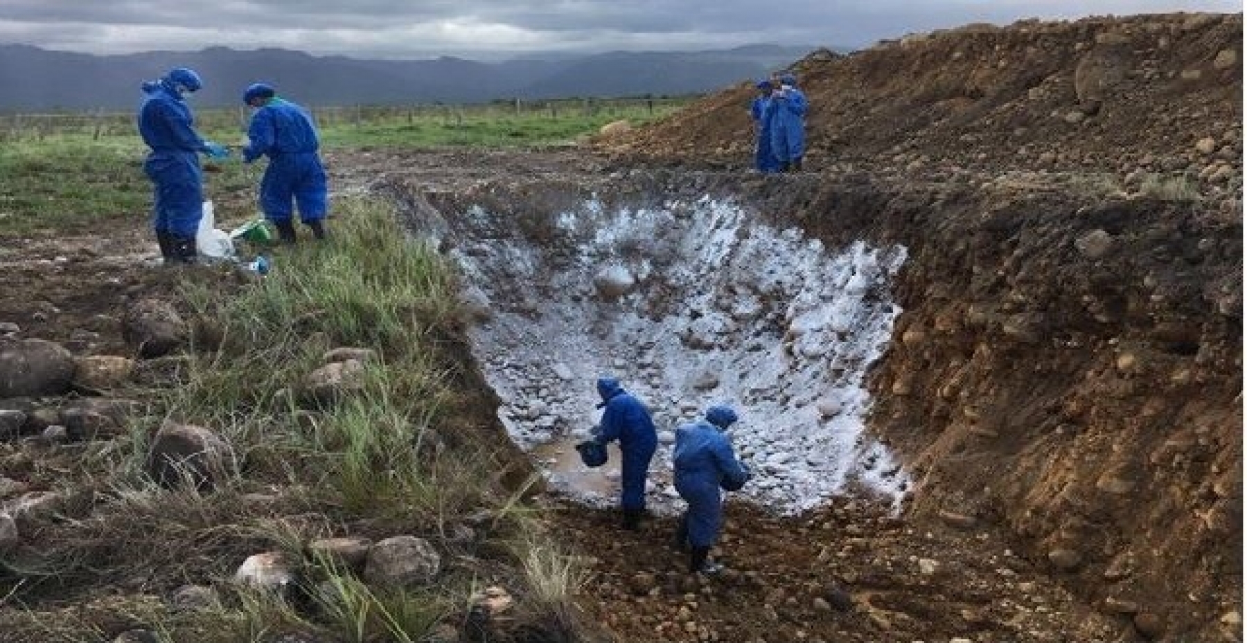 ICA levantó cuarentena en el departamento excepto en el municipio de Tame