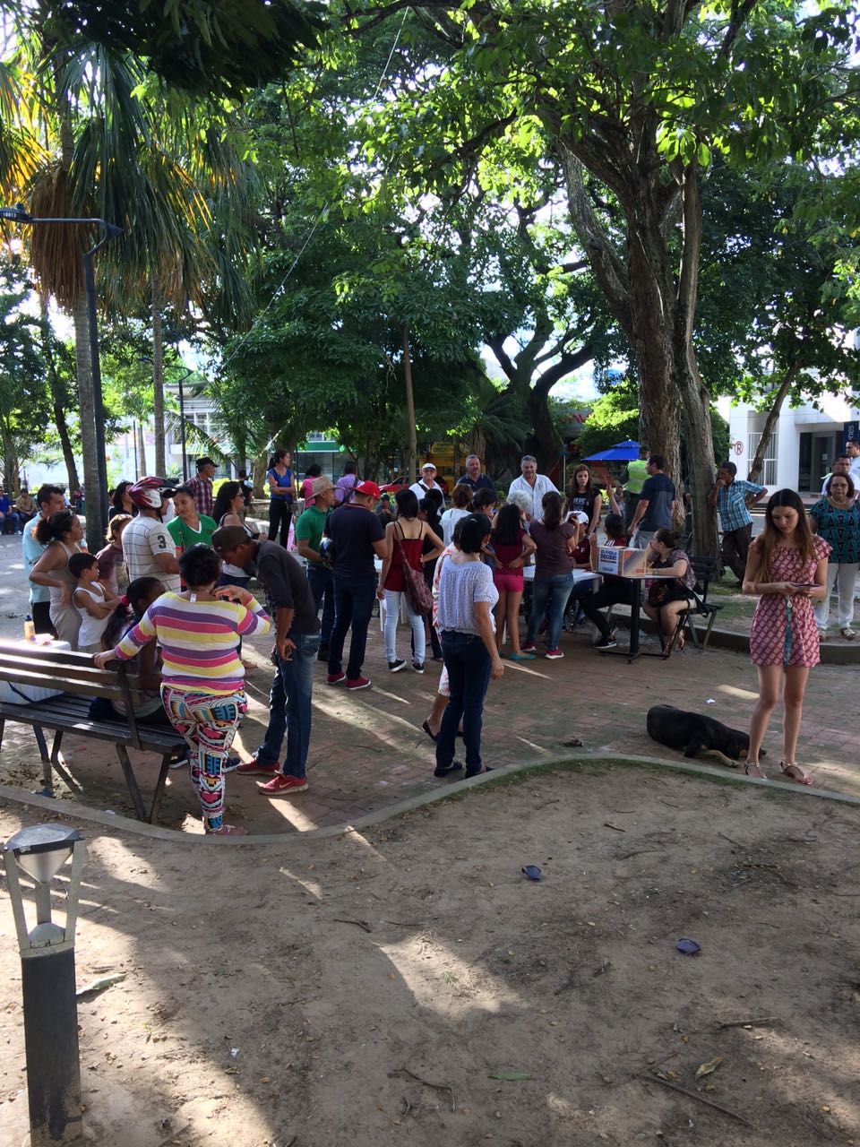 Venezolanos en Arauca hacen parte de los más de 7 millones de personas que participaron en la consulta popular