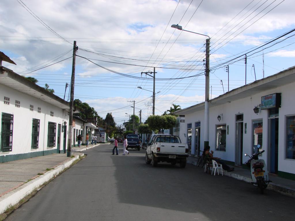 Reglamento temporal para el estacionamiento de toda clase de vehículo en la capital araucana