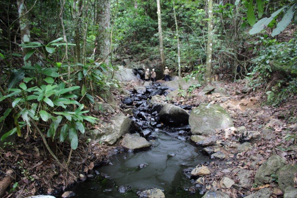 Oleoducto Caño Limón – Coveñas completó 56 días paralizado por atentados y ola de hurtos