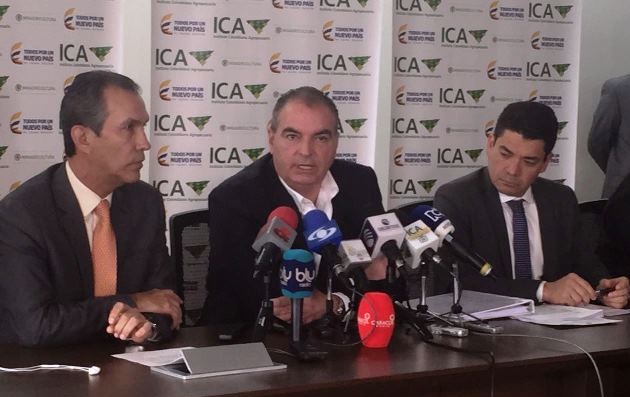 ICA notifica conclusión de fiebre aftosa en Tame y reporta brote Cundinamarca