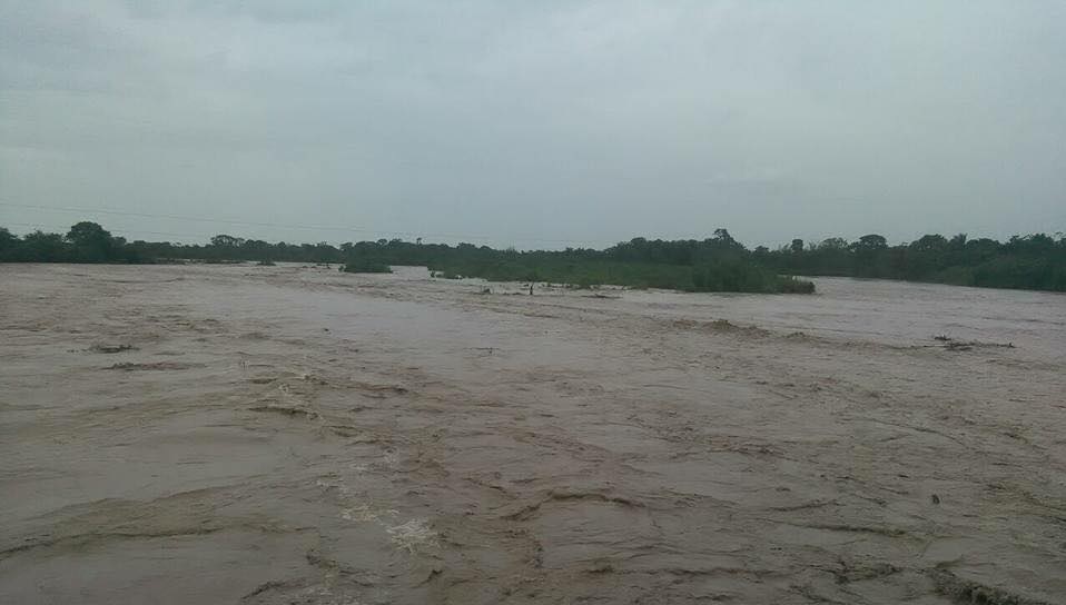 Armada colombiana rescata familia venezolana tras naufragio en río Arauca