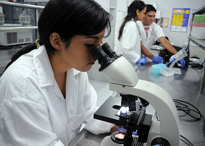 El recorte a la ciencia también duele