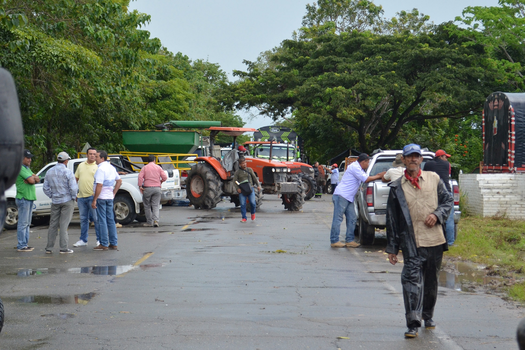 MinAgricultura cubrirá parte del costo de transporte de arroz paddy verde