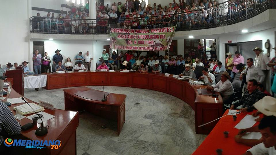 Ganaderos de Arauca abordaron su problemática en la Asamblea