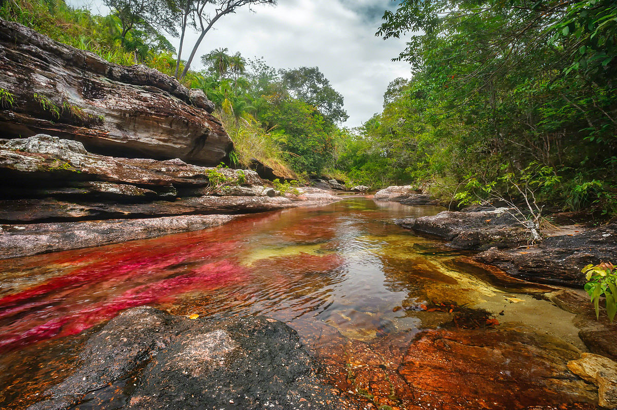 Construcción de senderos ecológicos en Caño Cristales