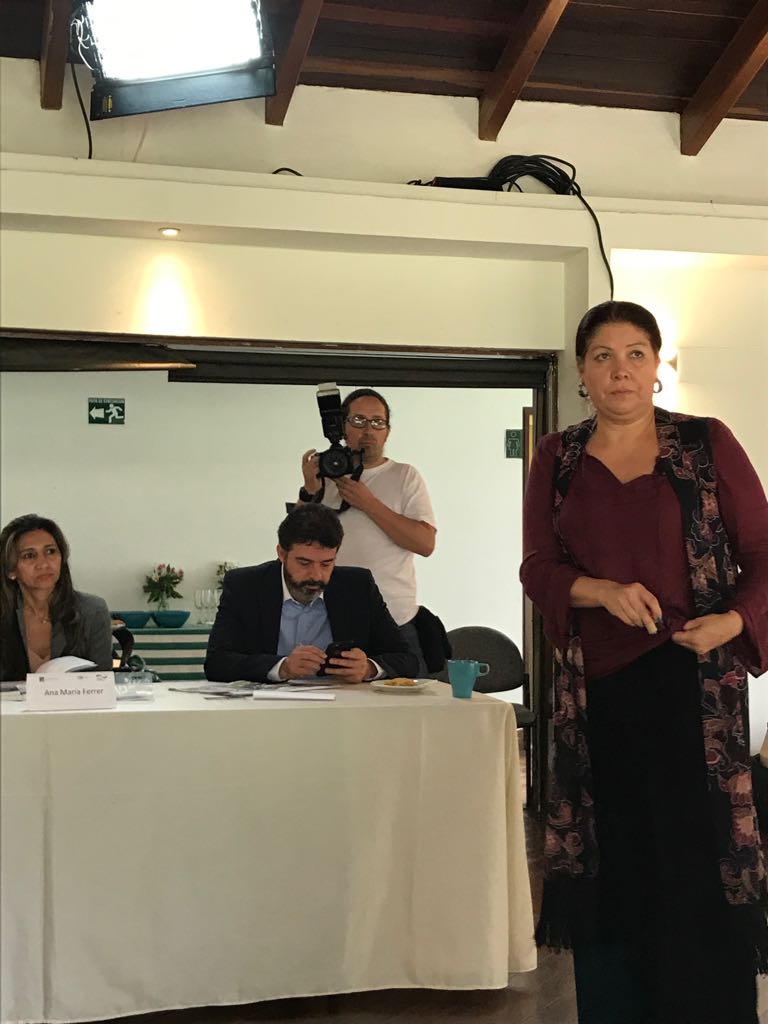 Arauca tendrá grandes retos muy diferenciados al resto del país: MOE