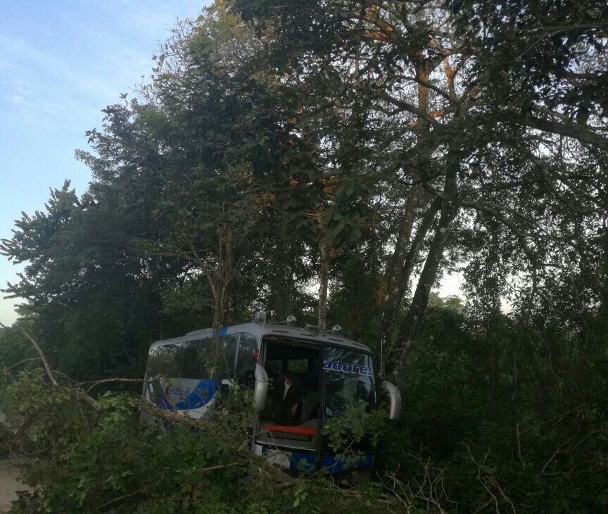 Autoridades investigan presunto microsueño tras accidente de bus