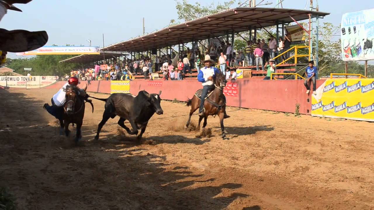 ICA Arauca socializó la nueva Licencia Sanitaria Equina para coleadores