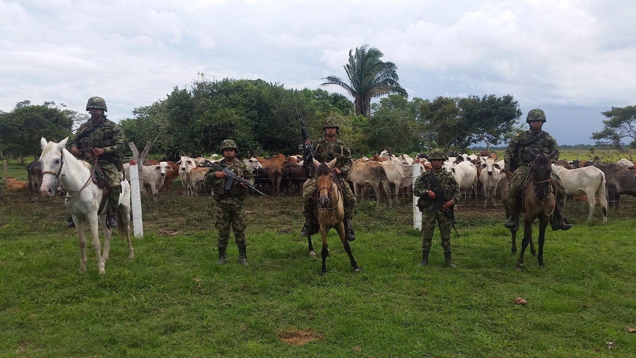 En Cravo y Arauca Ejército Nacional recuperó ganado hurtado