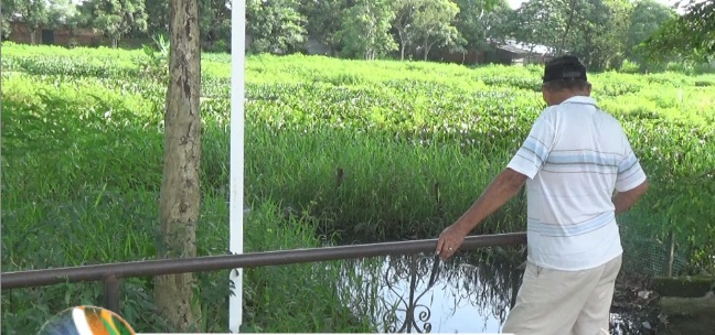 Laguna «Madre Vieja» se ahoga en el abandono y la falta de conciencia