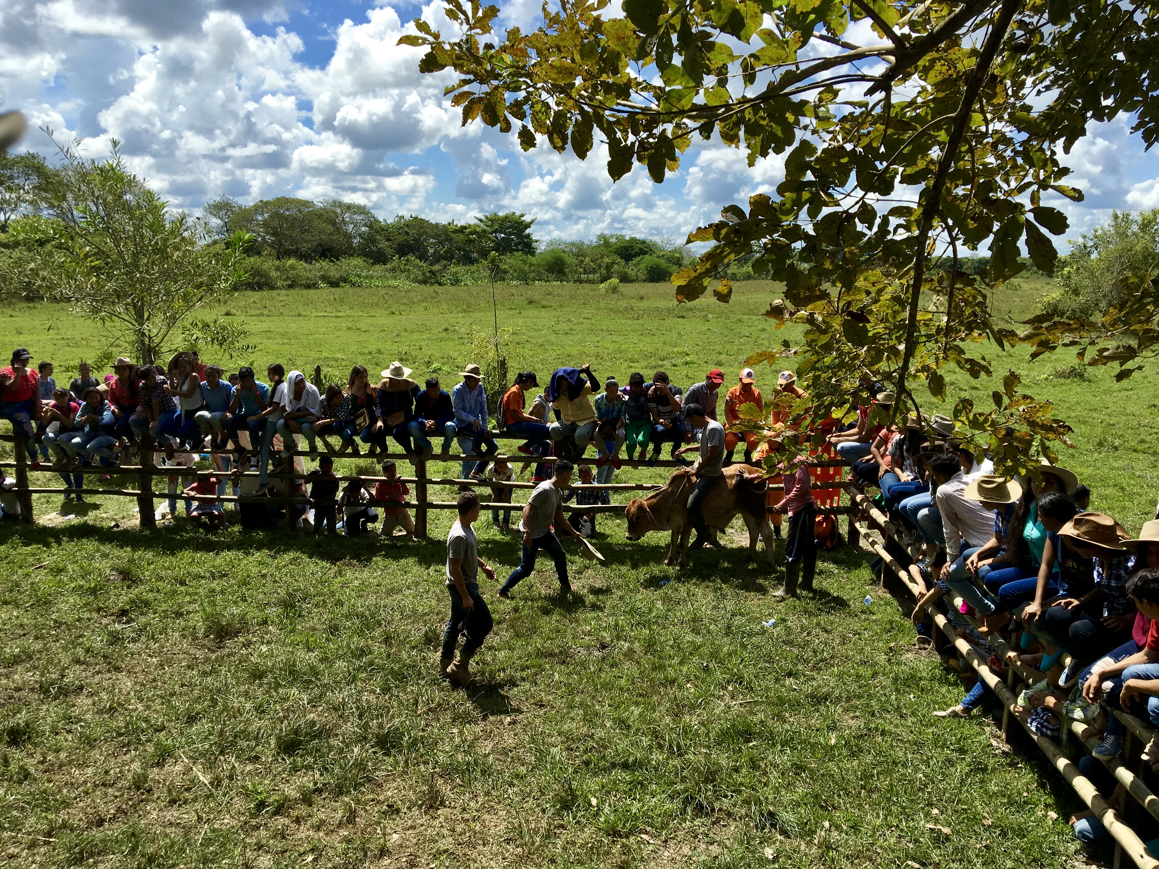 X Faena Llanera y muestra de proyectos pedagógicos del I.E.M Agropecuario