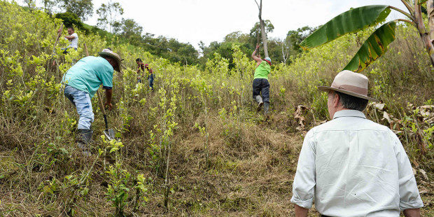 Departamento de Arauca tendrá una segunda zona campesina agroalimentaria