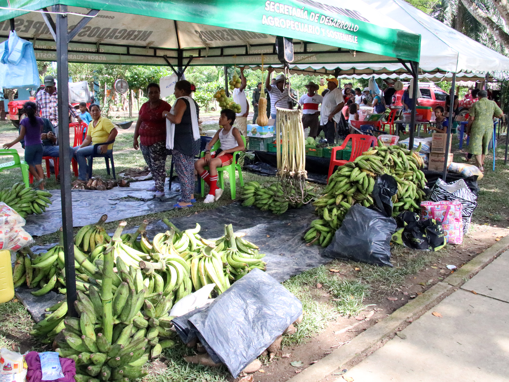 Con éxito se realizó el primer mercado campesino en El Caracol