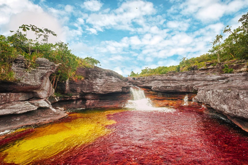 Cerrado el ingreso a Caño Cristales por temporada seca