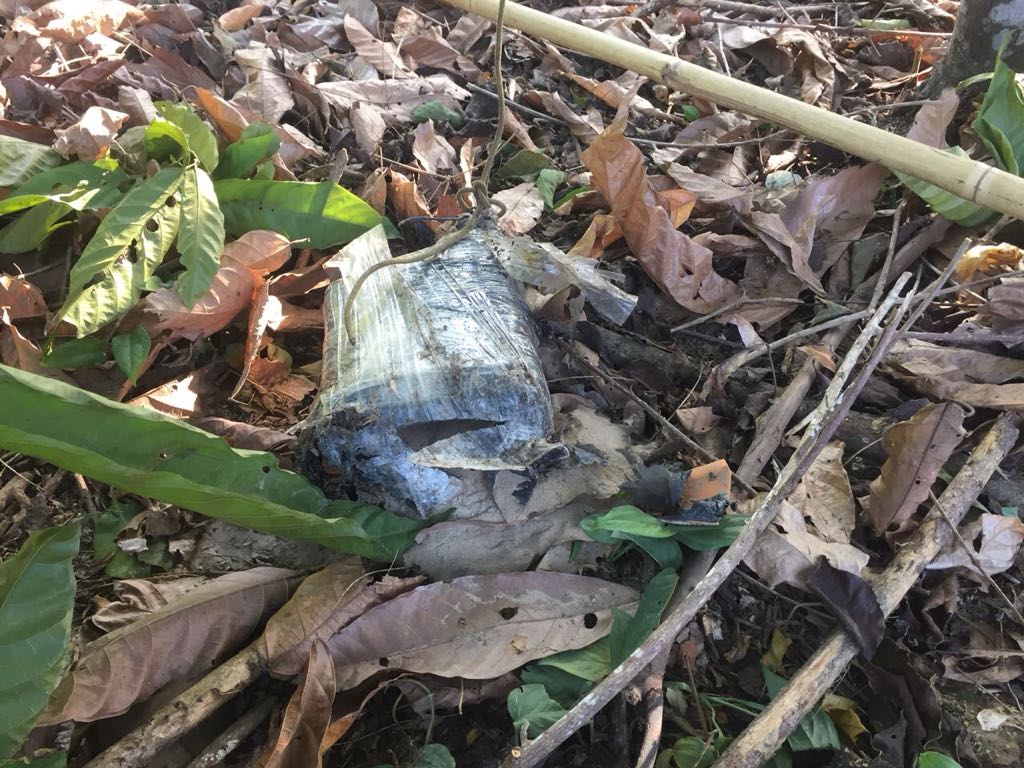 En Tame, Arauca  Ejército Nacional  frustra cuatro  atentados  planeados por  el ELN