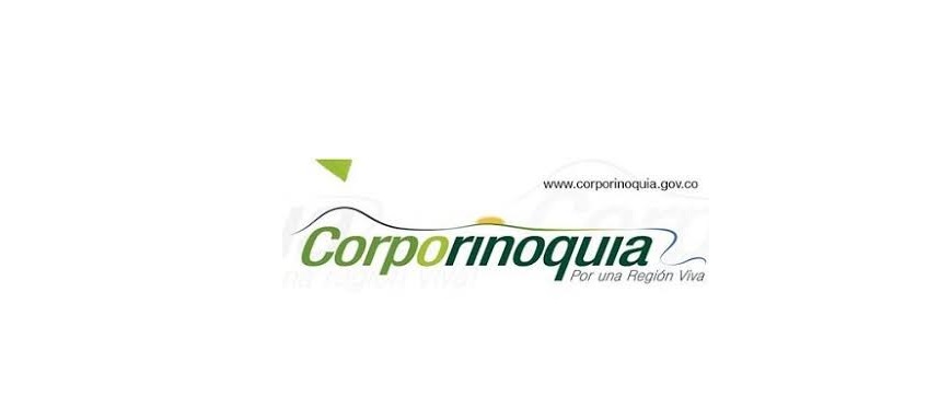 El jueves 8 de febrero vence el plazo para postularse como Revisor Fiscal de Corporinoquia