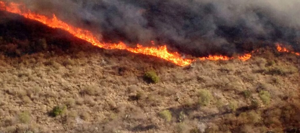 Alerta roja en Arauca, Boyacá y Casanare por incendios forestales