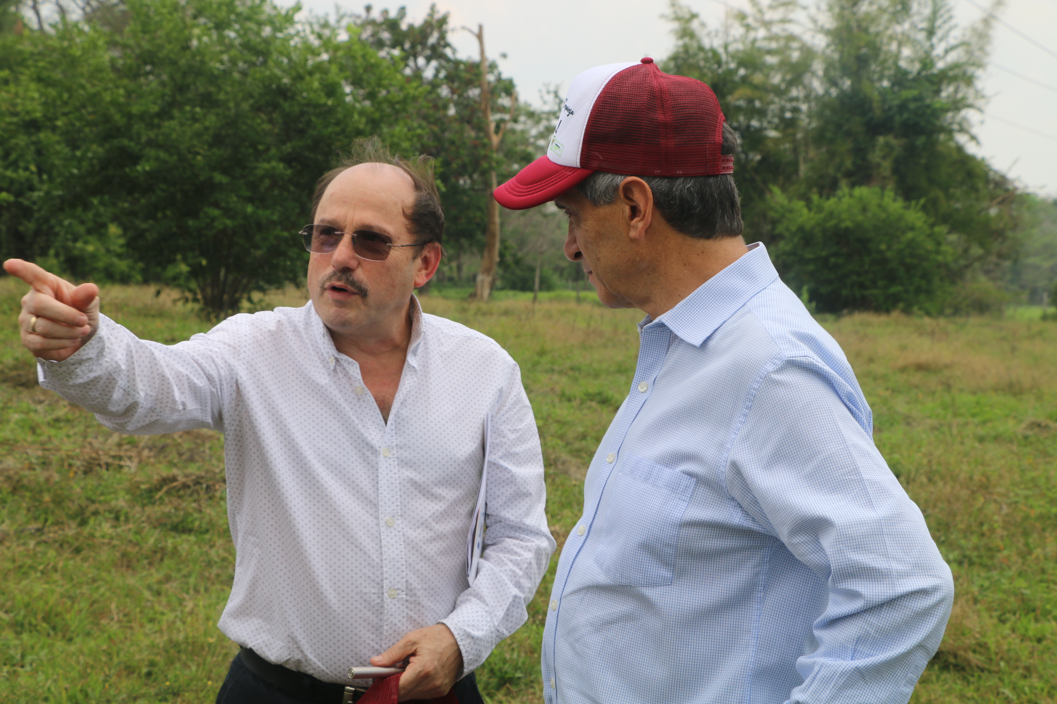 Arauca declarado territorio exitoso en sustitución de cultivos ilícitos