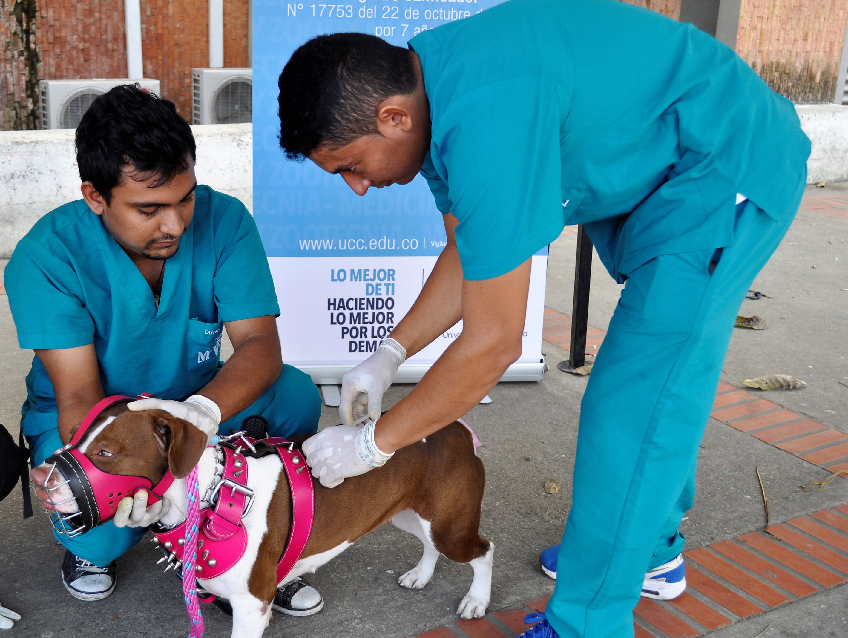 Brigada canina y su nuevo medio ambiente adelantará la UCC
