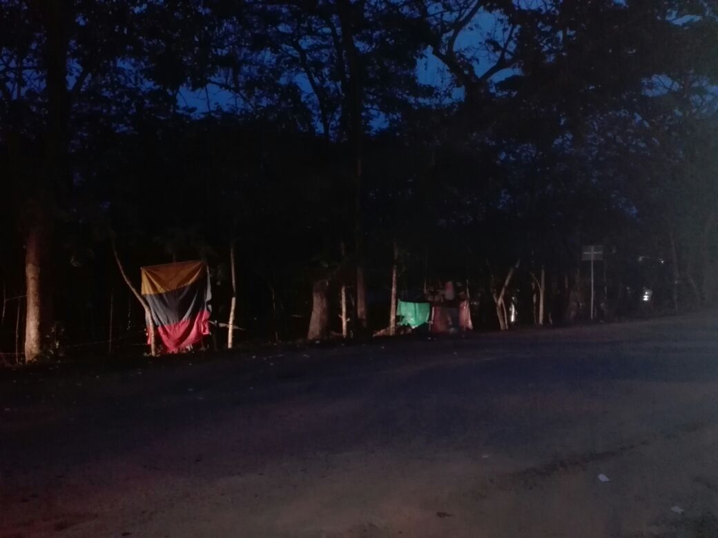 «Casi el 100% de las personas que invaden no son de Arauca»: Pinilla