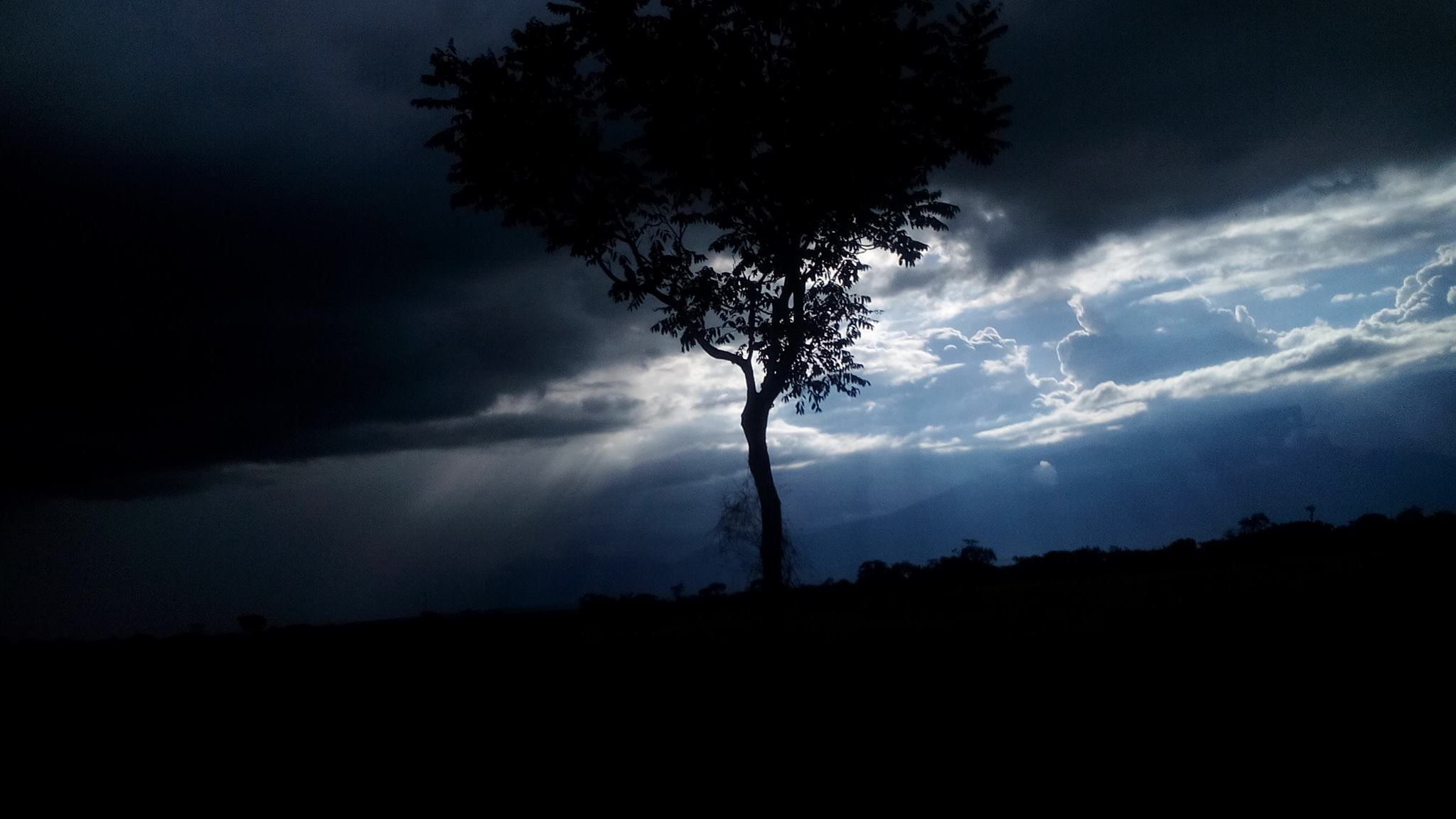 Foto: William Wielman