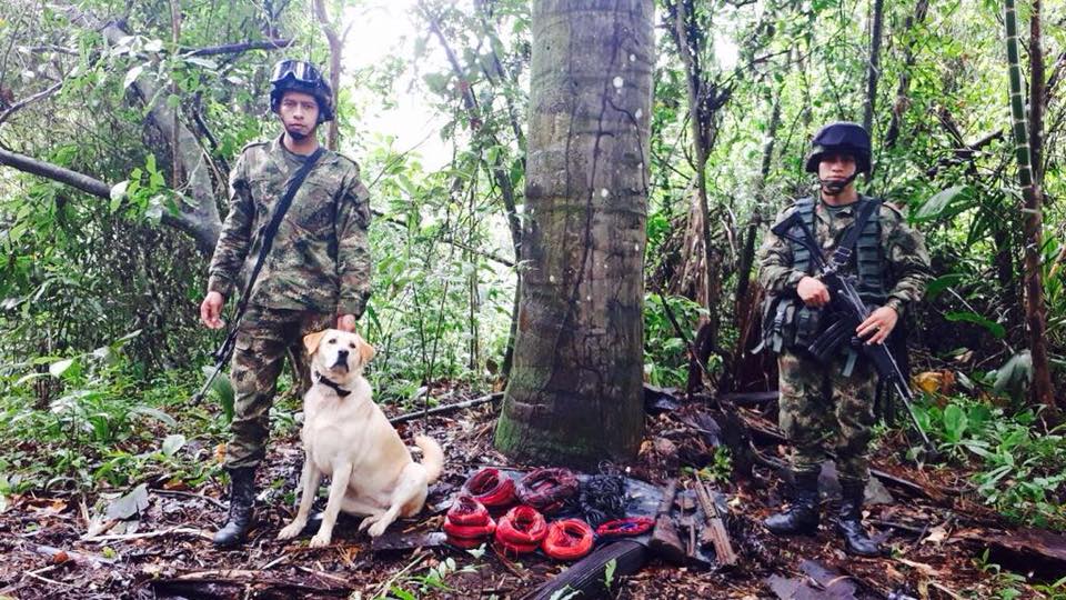 Depósitos ilegales con armas y combustible fueron hallados por el Ejército Nacional