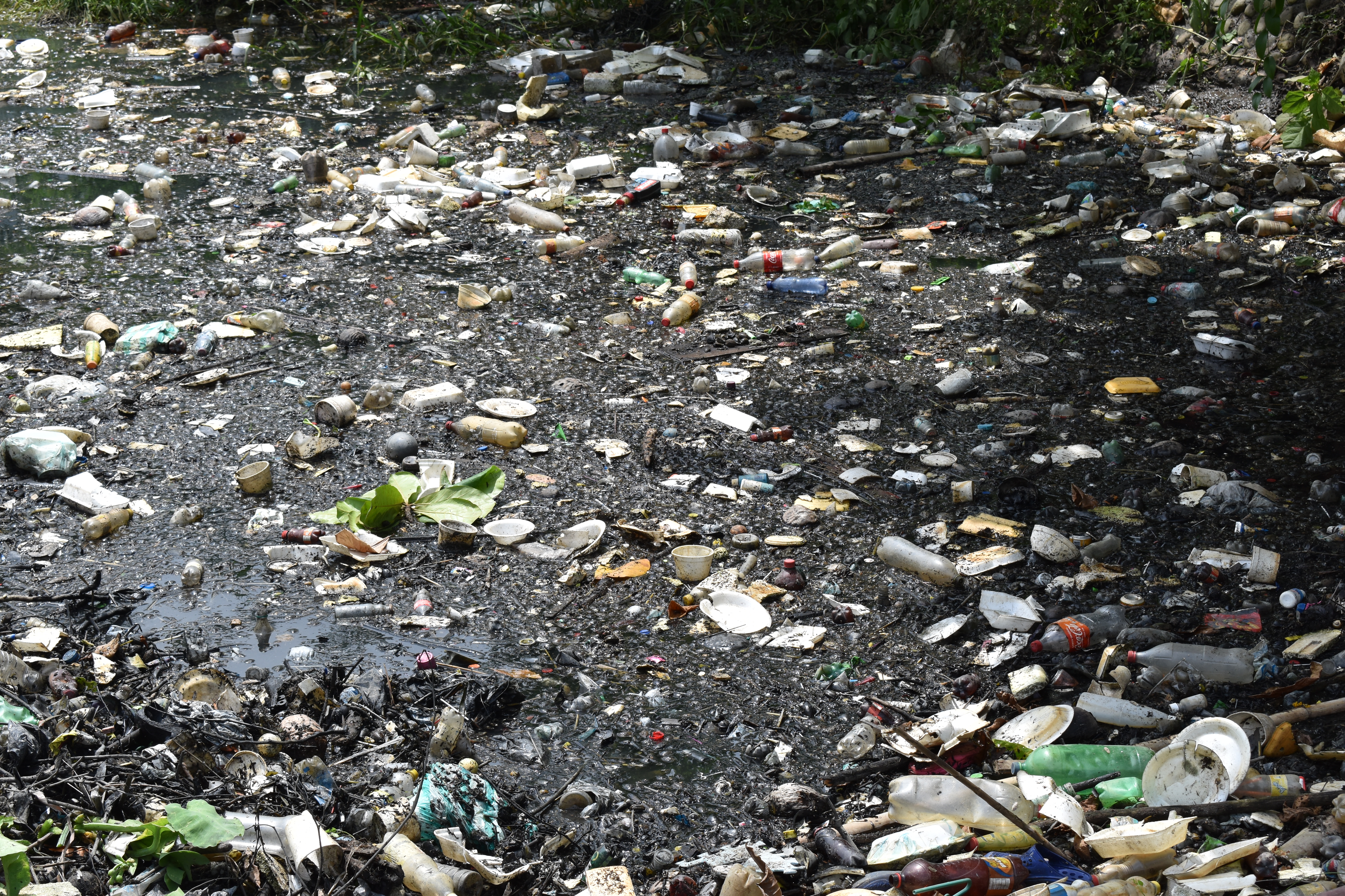 En Arauca no existe cultura ciudadana para el cuidado del medio ambiente