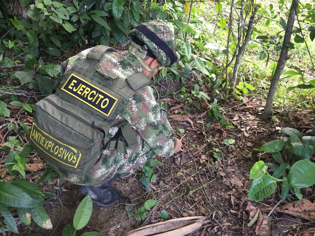 Campos minados siguen vigente en la región araucana