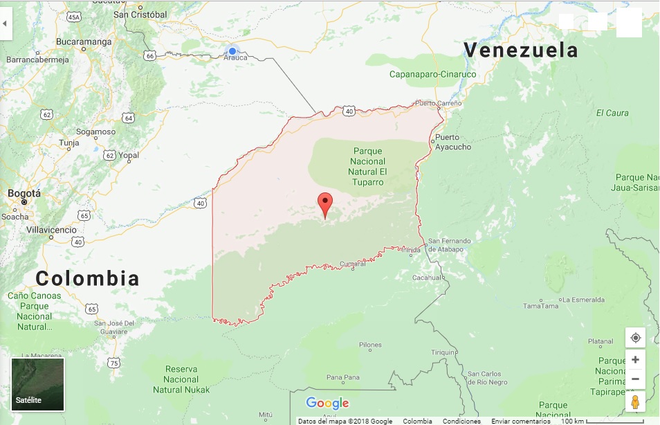 Consejo de Estado protege derechos de indígenas desplazados del Vichada