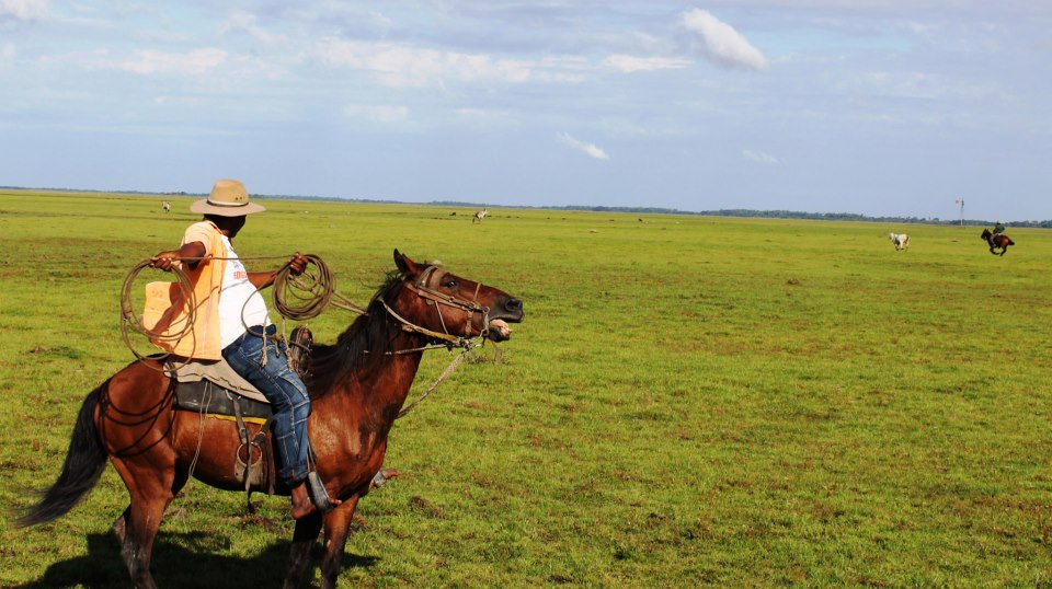 Costumbres y tradición en trabajo de llano