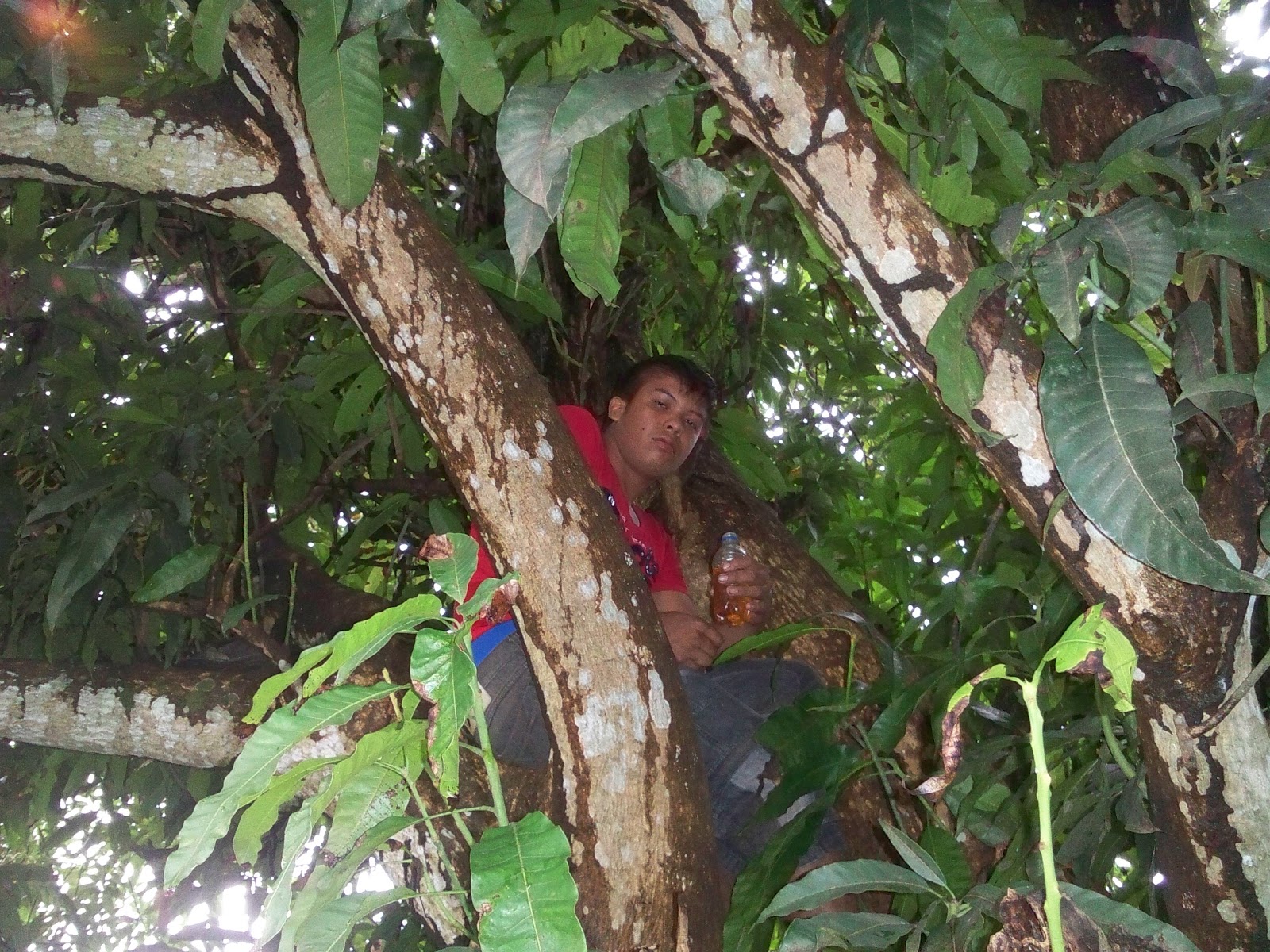 Singular reclamo ambiental de un joven por tala de arboles en Bucaramanga